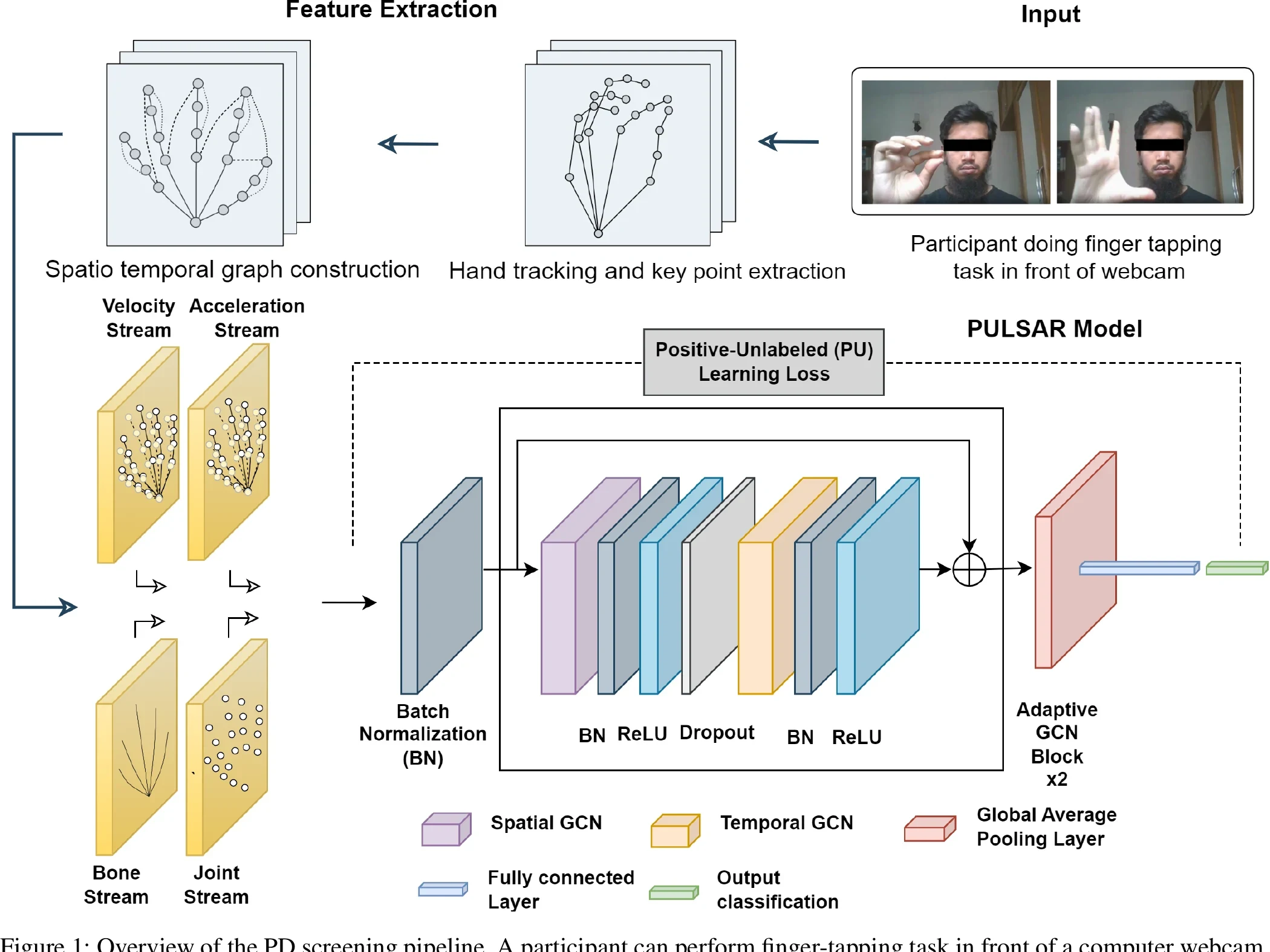 PULSAR pipeline from webcam finger tapping to multi-stream adaptive graph convolution